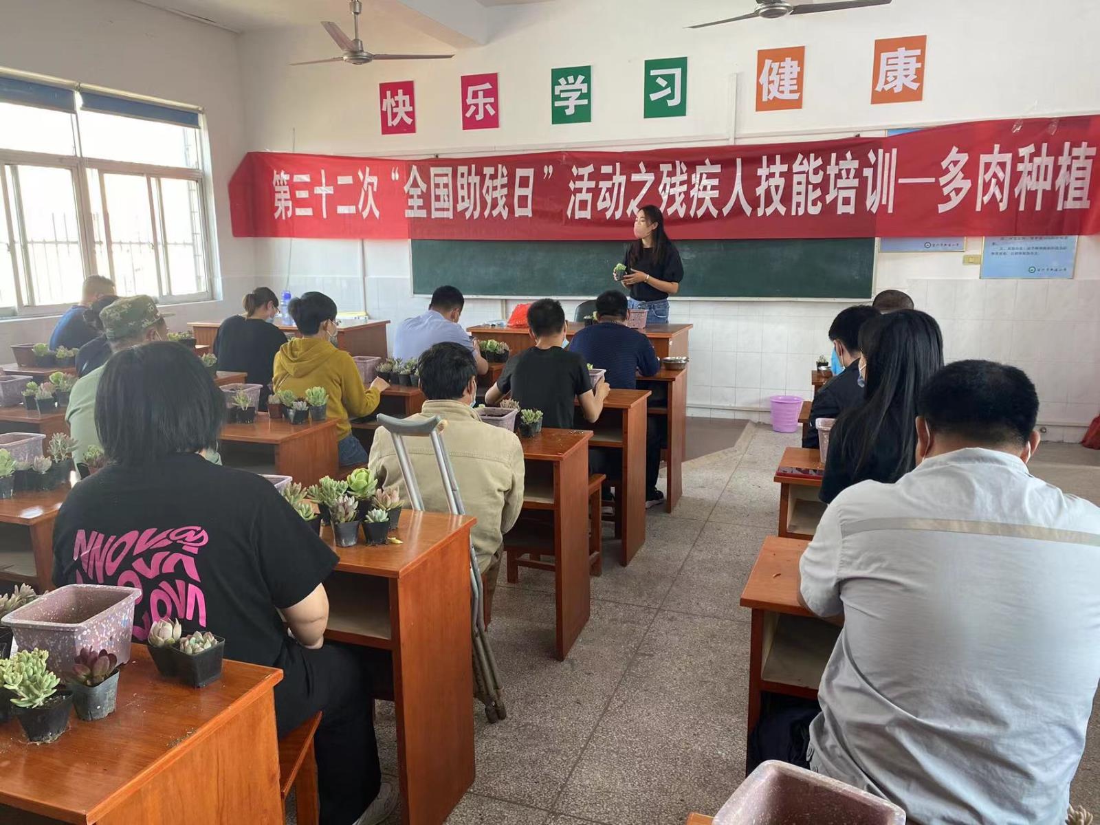 宜兴市新建镇残联组织残疾人开展多肉植物种植技能培训.jpg