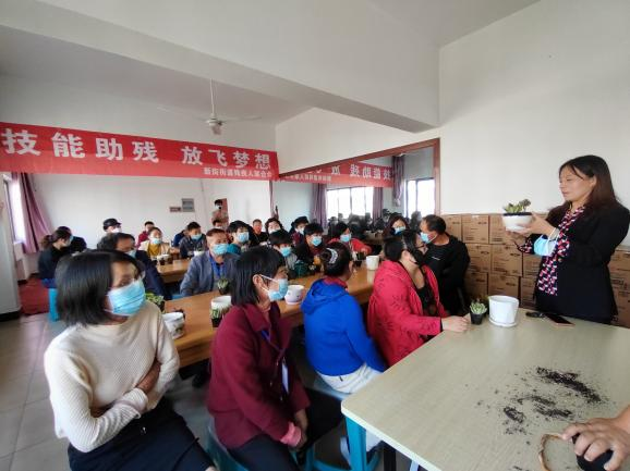 技能助残 放飞梦想——宜兴市新街街道残联开展多肉种植技能培训.png