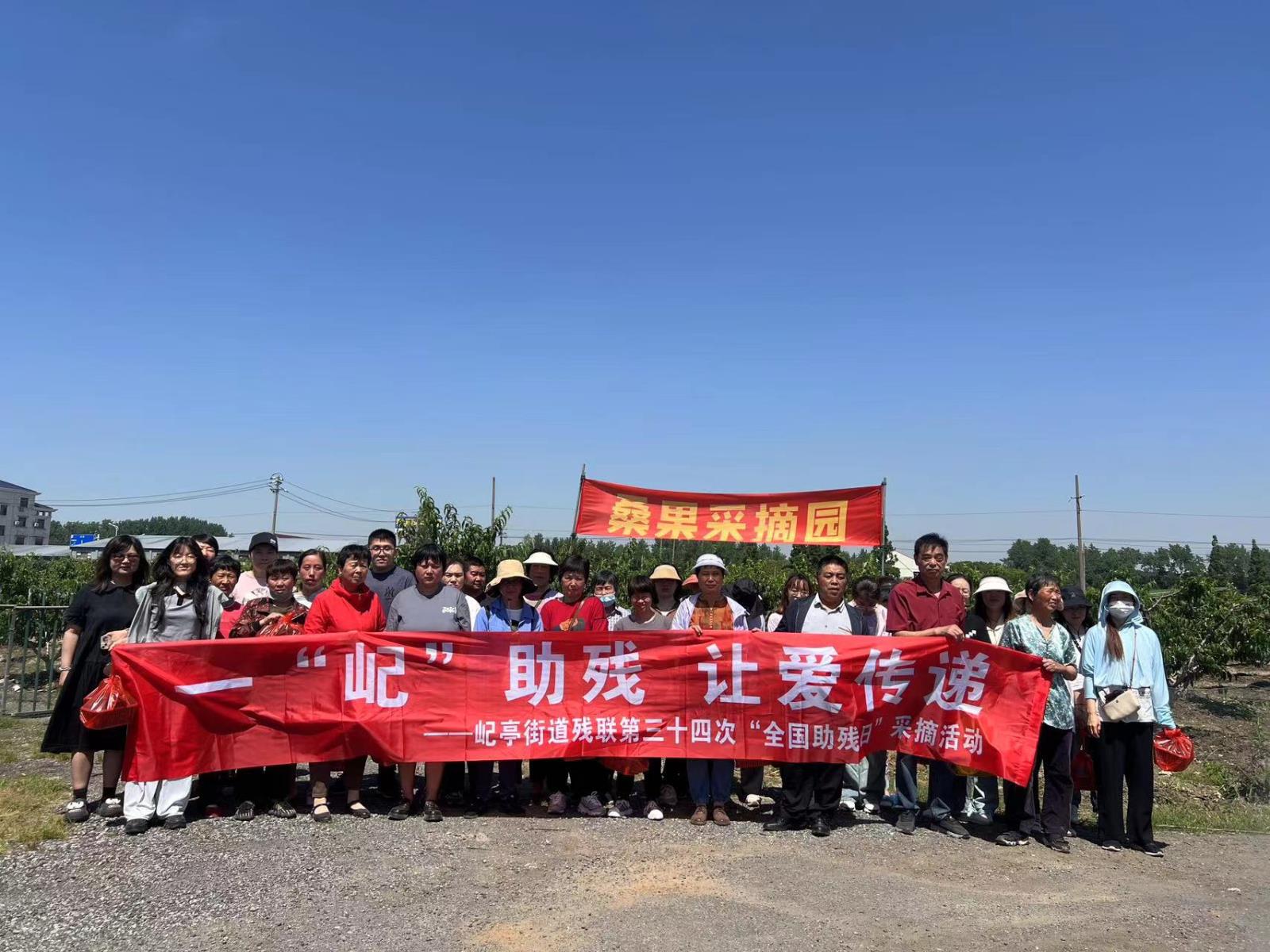 助残采桑 果香乐融——宜兴市屺亭街道残联开展“助残日”采摘活动.jpg