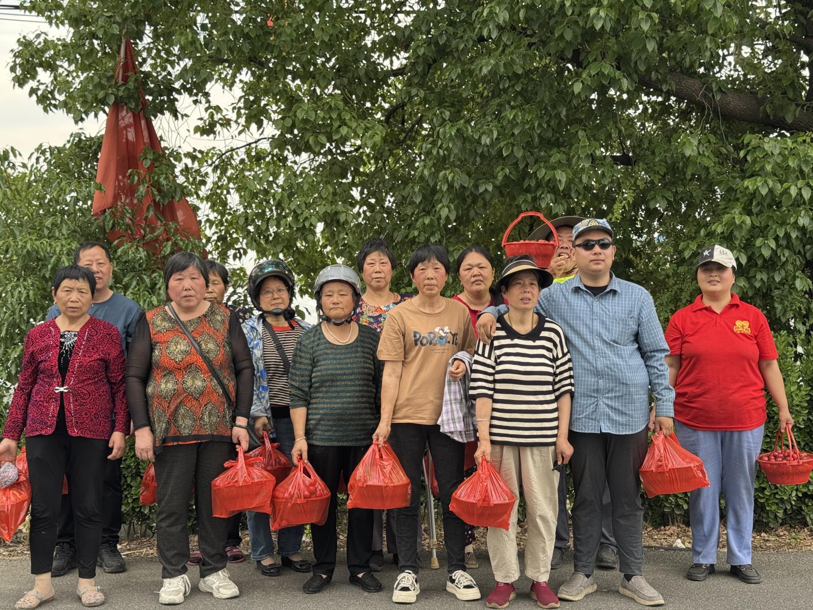 爱心采摘  番倍快乐——和桥镇残联组织残疾人开展采摘活动.jpg