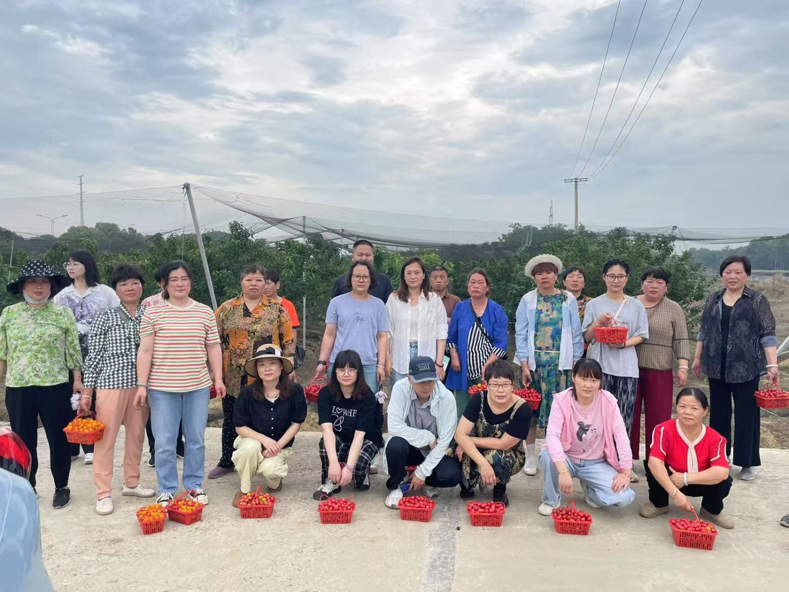 同心同行·采摘同乐——新庄街道残联组织残疾人开展采摘活动.jpg